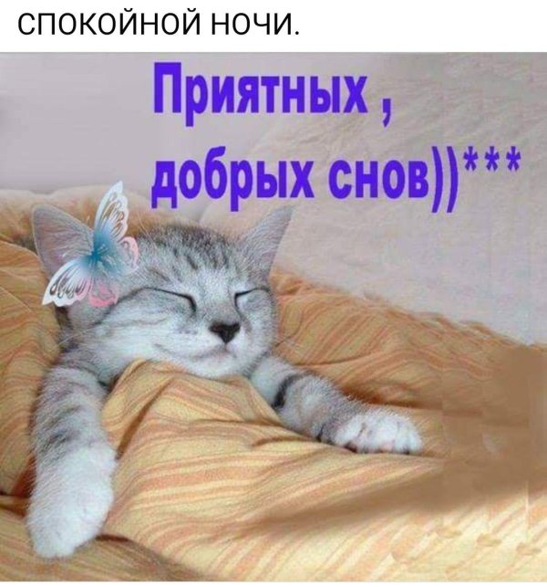 открытка спокойного ночи