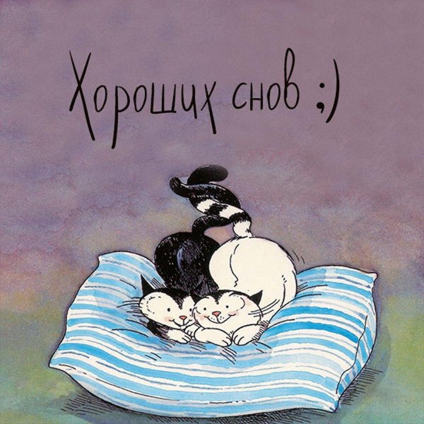 иллюстрация кот