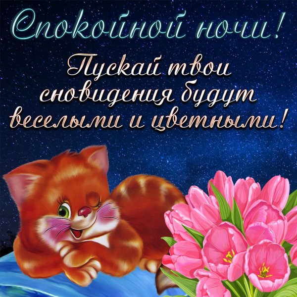 пожелание спокойной ночи