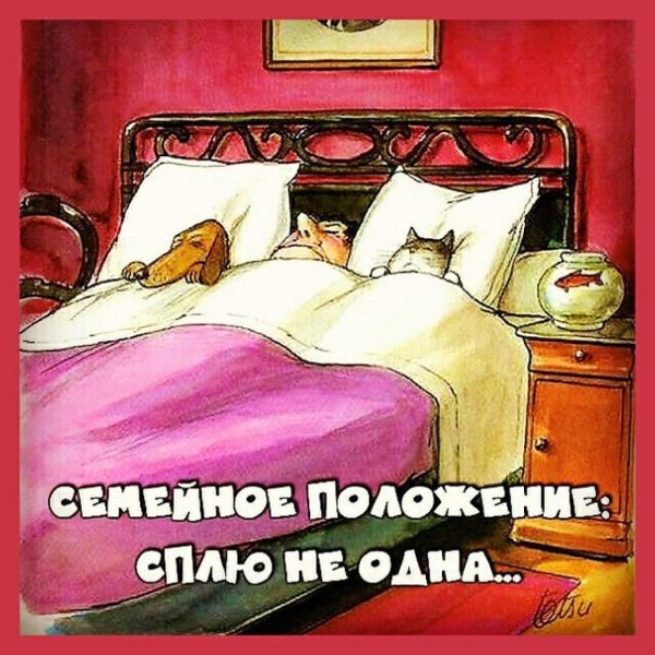 семейное положение