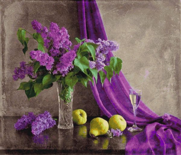 сирень андрияки