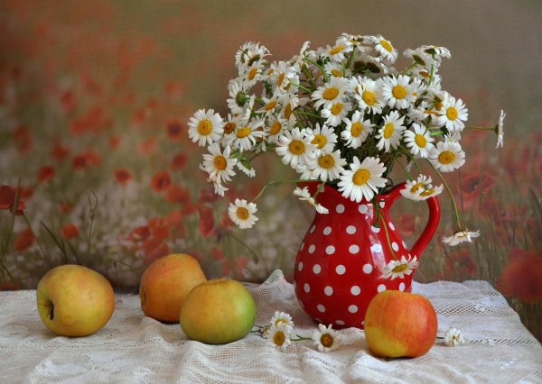 букет ромашек