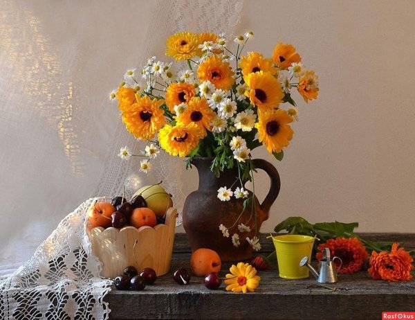 валентина колова натюрморты