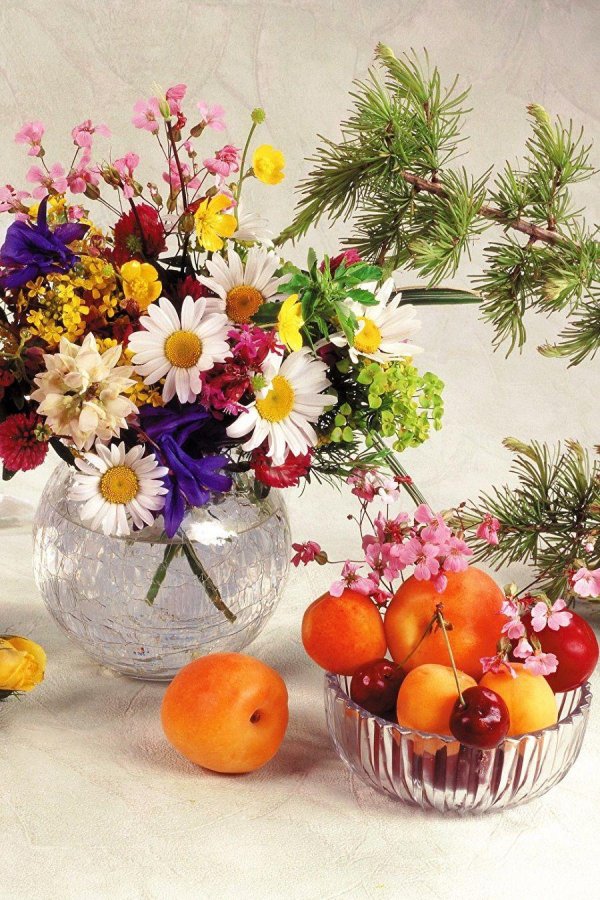 цветы и фрукты