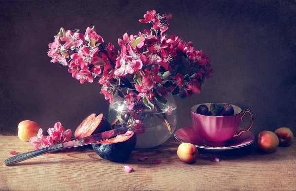 фотонатюрморты соловьева анастасия