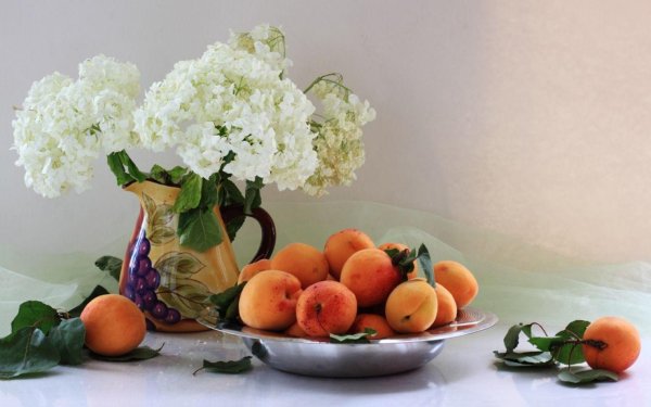 красивый натюрморт