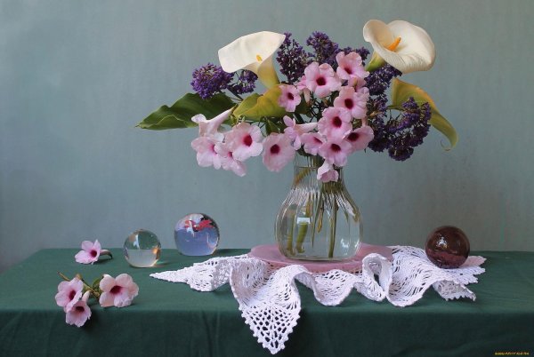 фотонатюрморты людмилы бекман