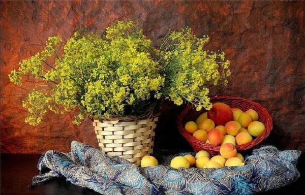 желтые цветы натюрморт