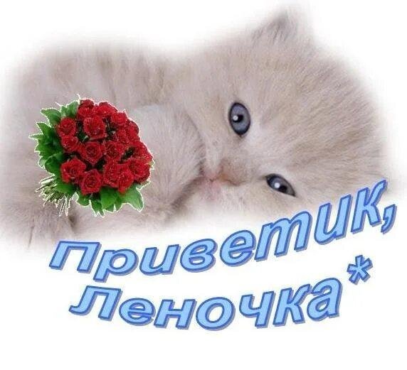 привет леночка
