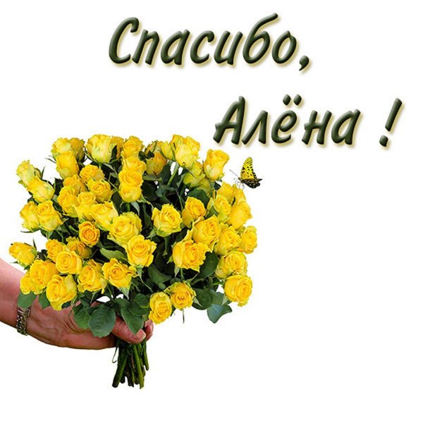 спасибо алена