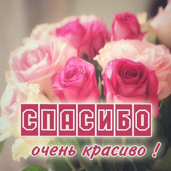 большая благодарность