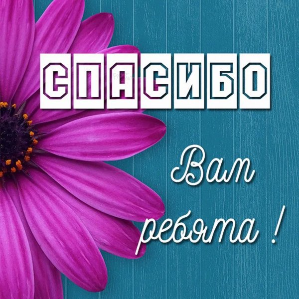 благодарю благодарю благодарю