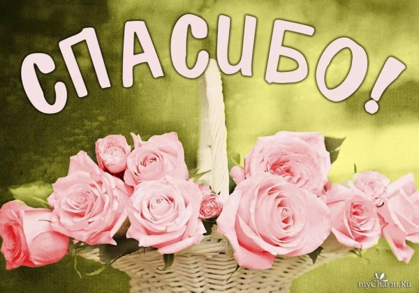 спасибо открытка