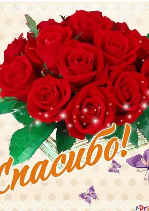 открытки красивые спасибо