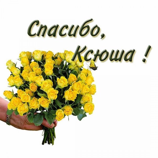 спасибо ксюша