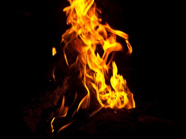 пламя костра