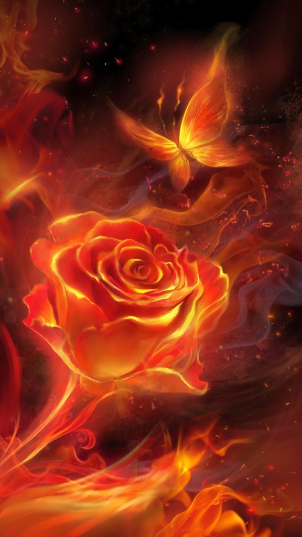 огненная роза