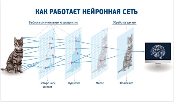 нейронные сети