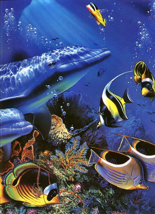 подводный мир