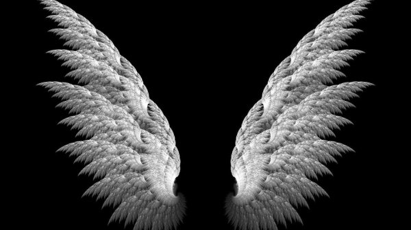 крылья ангельские