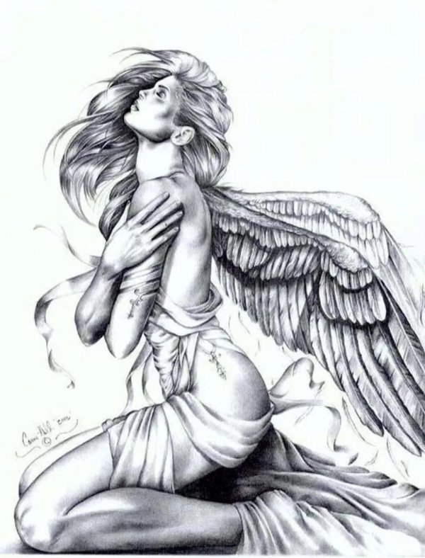 эскиз ангел