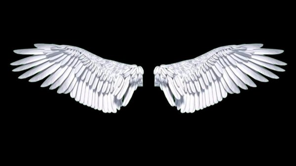 ангельские крылья
