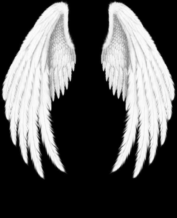 ангельские крылья