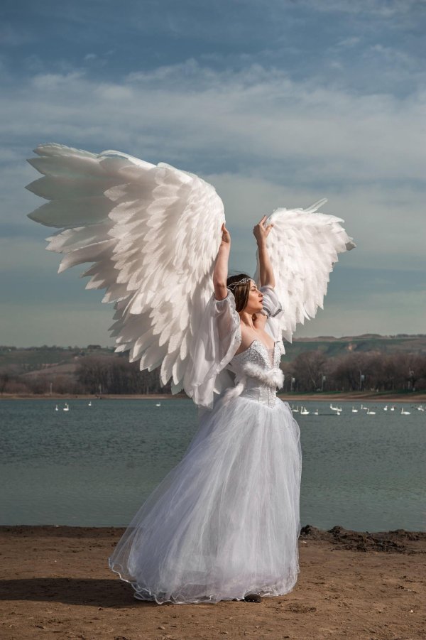 фотосессия с крыльями