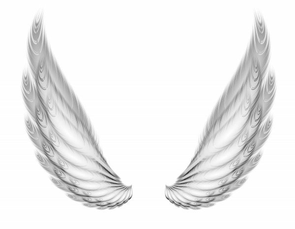 ангельские крылья