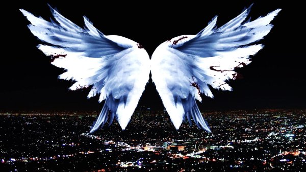 красивые крылья