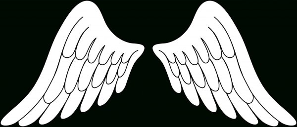 Крылья ангела