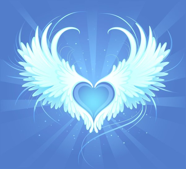 крылья любви