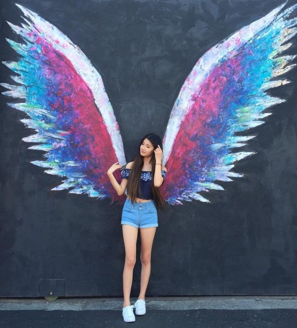 необычные крылья