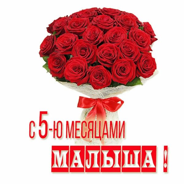 поздравляю 5 месяцев