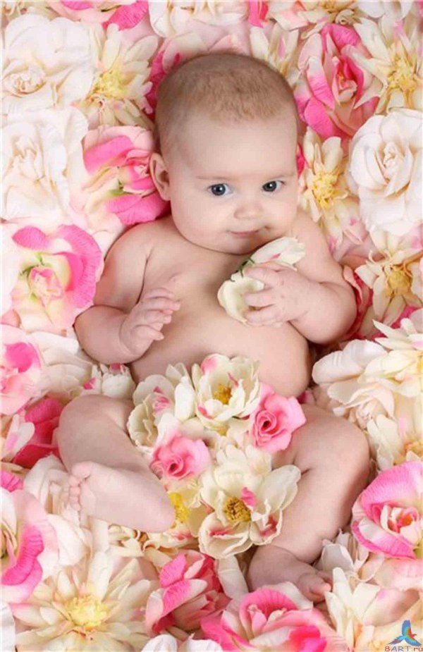 красивые младенцы
