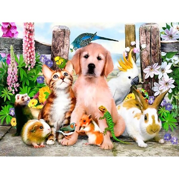 домашние питомцы