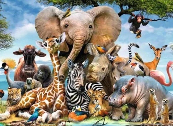 много зверей