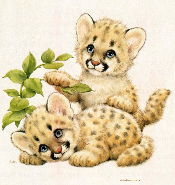 гепард иллюстрация