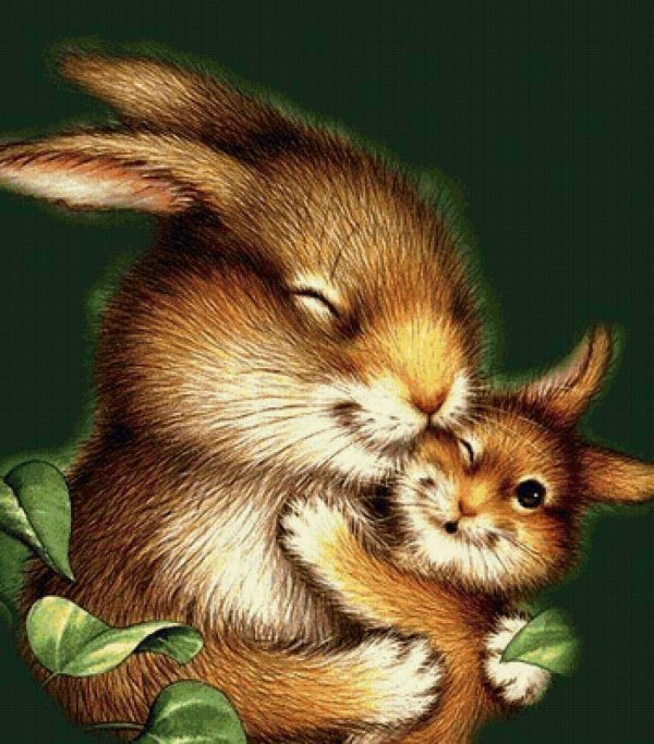 маленький зайчонок улыбнулся маме