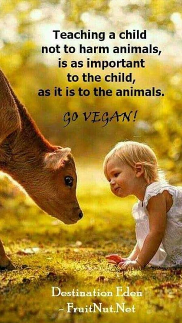 дети с животными