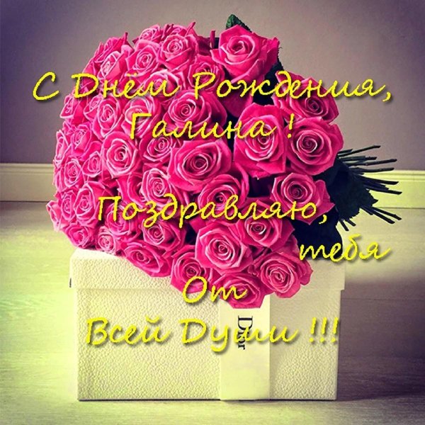 с днем рождения галина