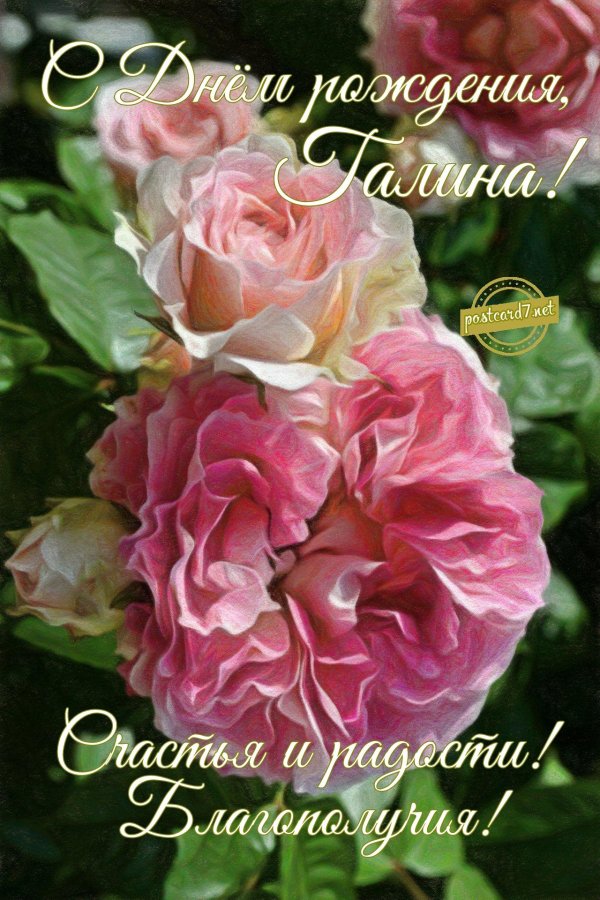 поздравить галину с днем рождения открытки