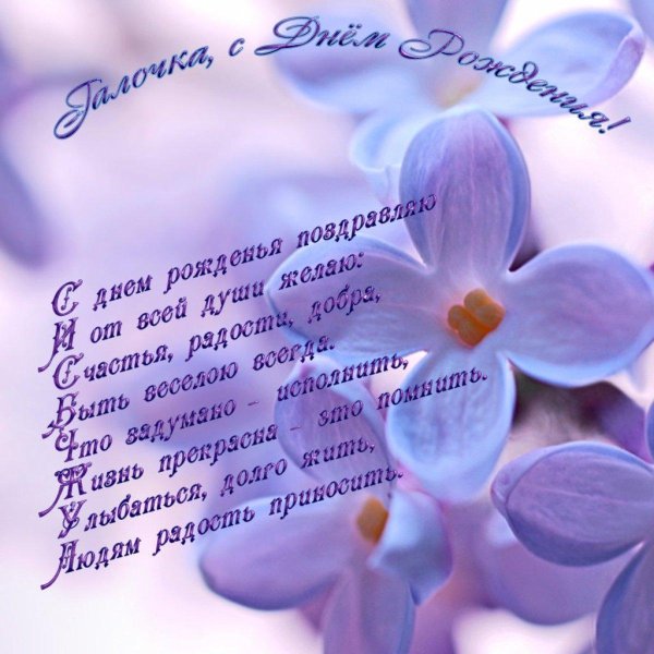 сирень цветки