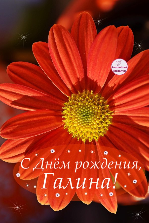 день рождения галина открытки