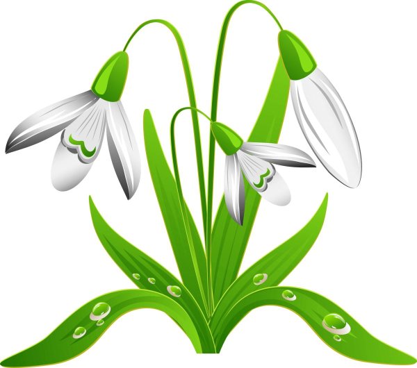 подснежники мультяшные