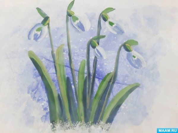 рисование первоцветы старшая группа