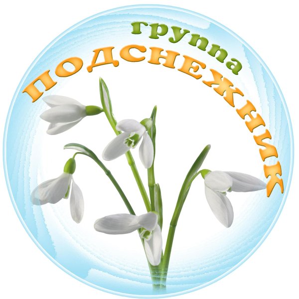 детский сад подснежник