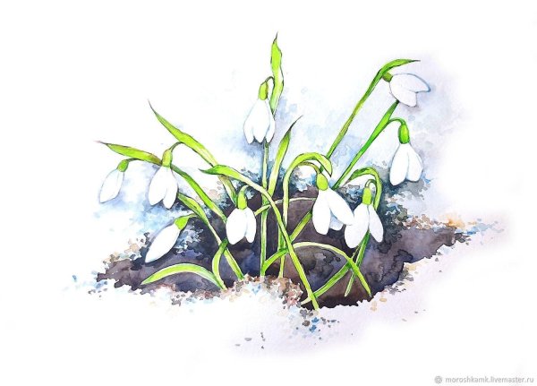 акварельные подснежники