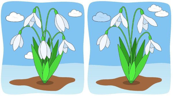 рисунок подснежник