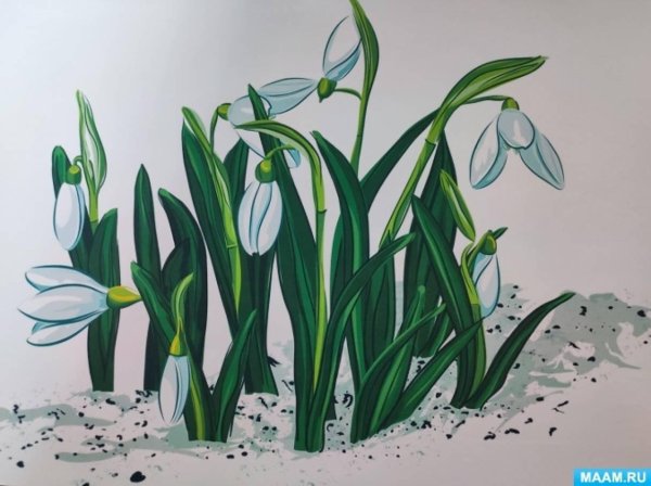 подснежники разноцветные